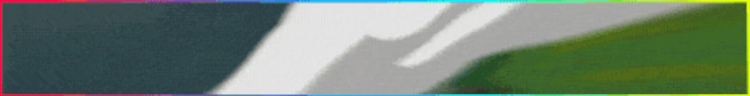 Wilden Minecraft Server