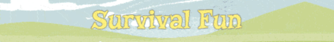 Survival Fun Minecraft Server