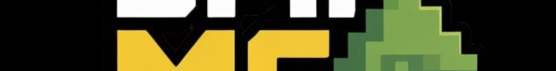 SMP MC Minecraft Server