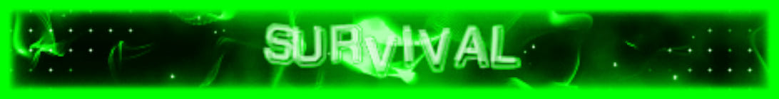 Meraki Minecraft Server