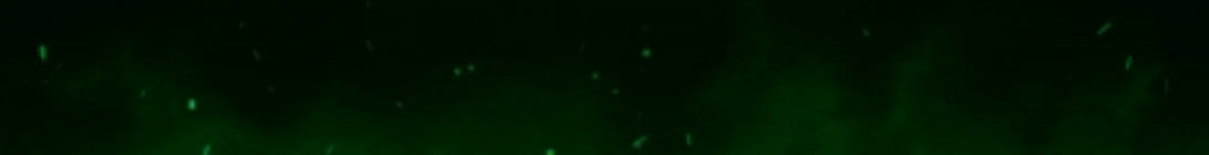 Survival mc Minecraft Server