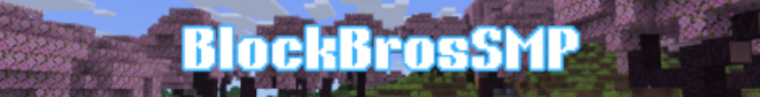 BlockBrosSMP Minecraft Server