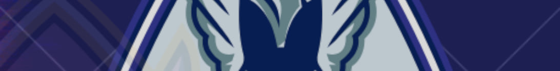 Vanlite Network Minecraft Server