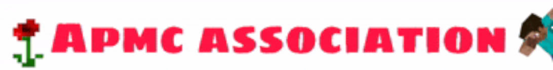 APMC Lifesteal Minecraft Server