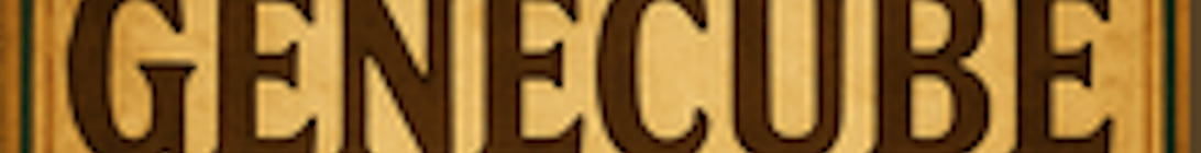 Genecube Minecraft Server