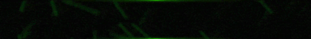 Left4Craft Minecraft Server