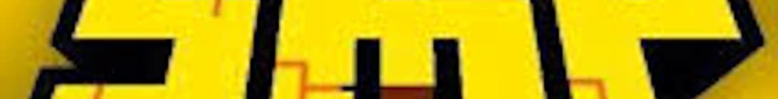 normal SMP 24 7 one Minecraft Server