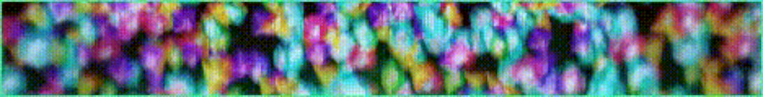 Siegelands Minecraft Server