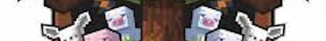 Fire Smp Minecraft Server