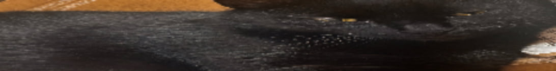 safe place I community I economy I occupy land Minecraft Server