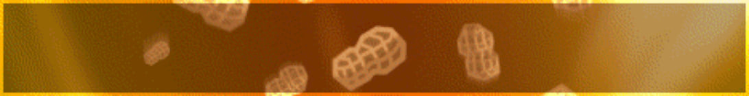 PeanutSMP Minecraft Server
