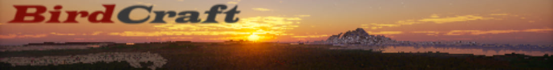 BirdCraft Minecraft Server