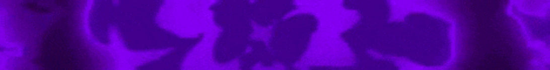 Crescent Kingdom Minecraft Server