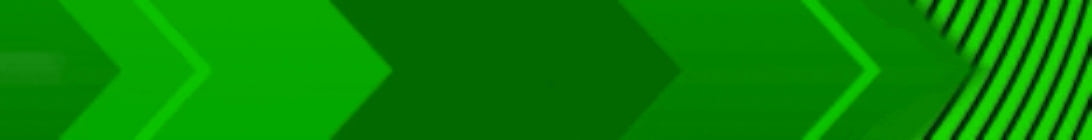 Gir Society SMP Minecraft Server