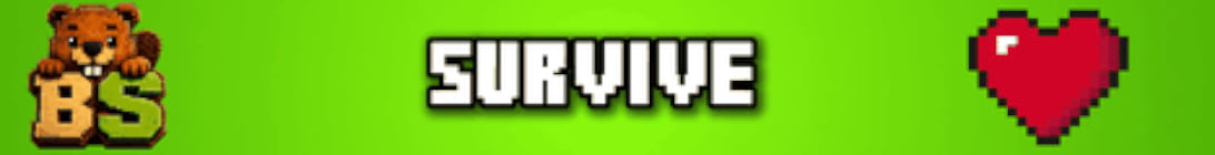 BoberSMP Minecraft Server