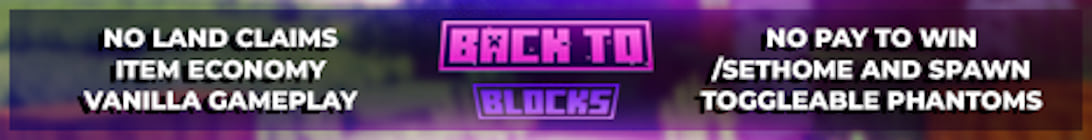 Back To BLocks Minecraft Server