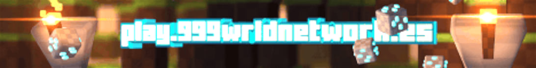 999Wrld Network Minecraft Server