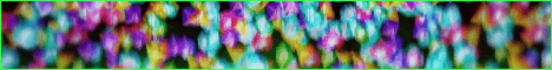 Jungle SMP Minecraft Server