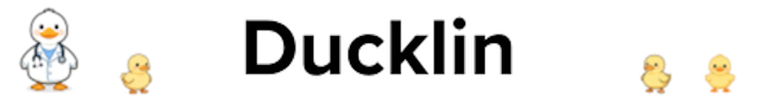 Ducklin Minecraft Server