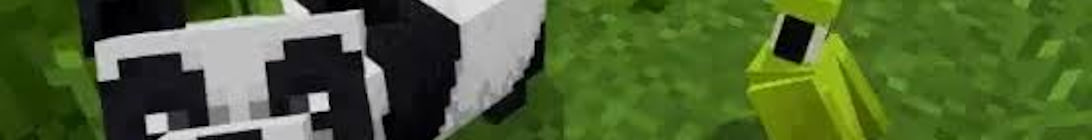 PandaCraft Minecraft Server