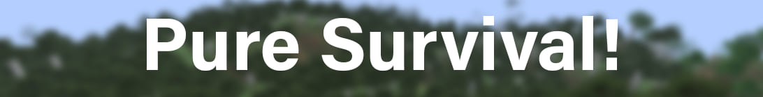 Pure Survival MC Minecraft Server