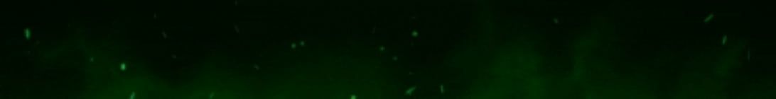 Vores Network Minecraft Server