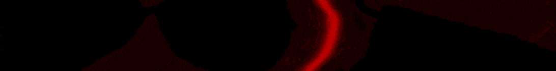 Crimson Thorn Minecraft Server
