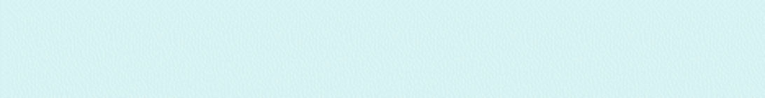 RevivalMC Minecraft Server