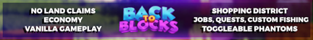 Back To Blocks Minecraft Server