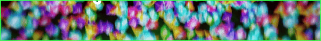 MalakaSMP Minecraft Server