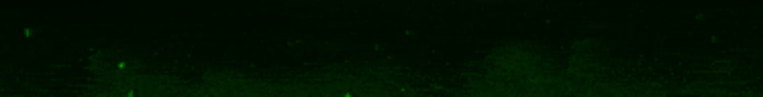 GolliCRAFT Minecraft Server