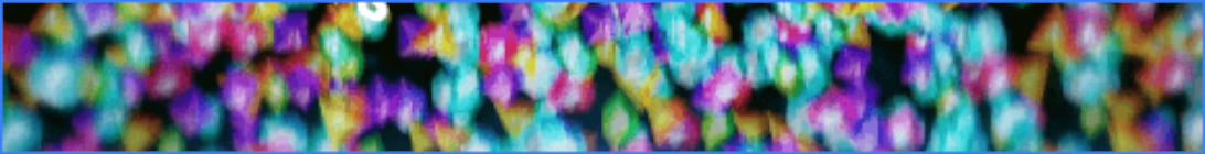 Igloo Survival Minecraft Server