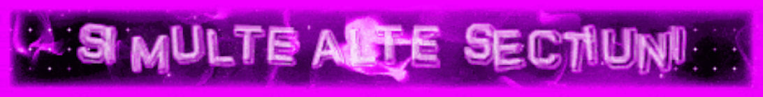 SHINYMCNETWORK Minecraft Server