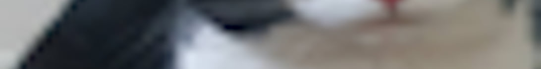 Idle SMP Minecraft Server