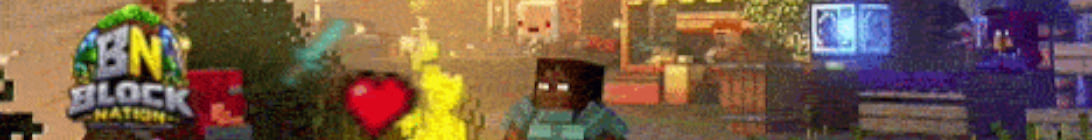 BlockNation Minecraft Server