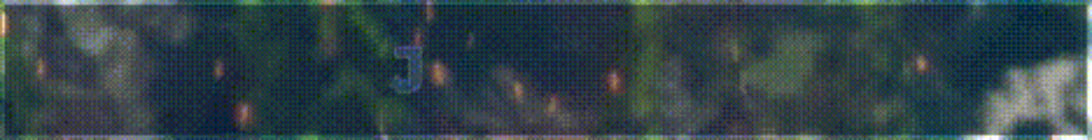 Jd server Minecraft Server