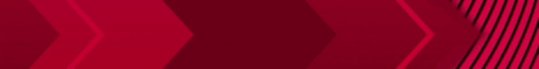 BleedMC Minecraft Server
