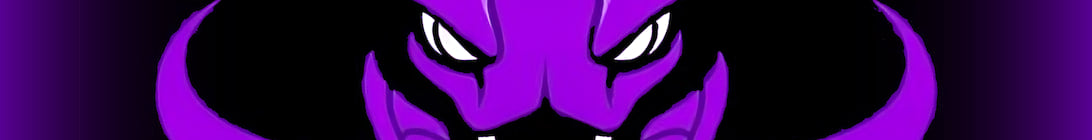 Viper SMP Minecraft Server