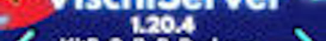 VischiServer Minecraft Server