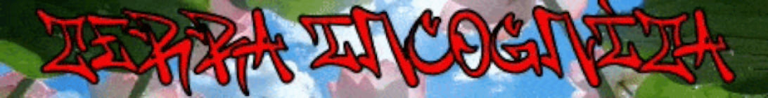 Terra Incognita Minecraft Server