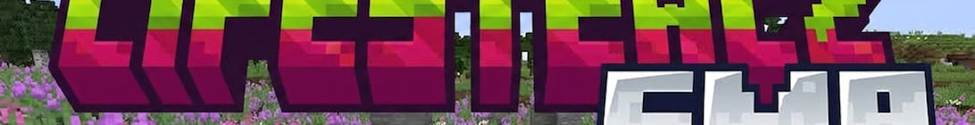 Lifestealz12 Minecraft Server