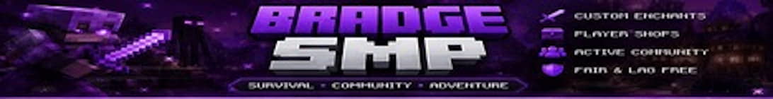 Bradge Server Minecraft Server