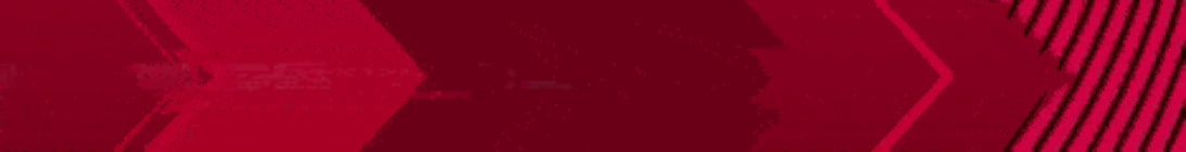 CherrySMP Minecraft Server