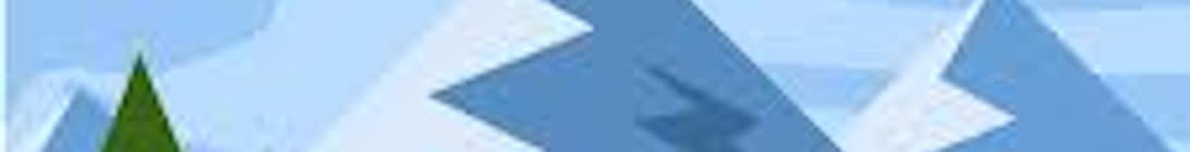 Newt SMP Minecraft Server