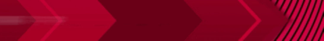 VoidRealms SMP Minecraft Server