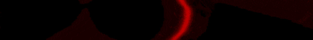 Trident Network Minecraft Server