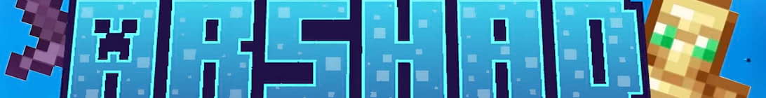 Flash Mc Minecraft Server