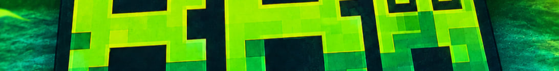 BRA 2 Minecraft Server
