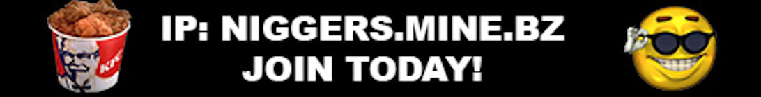 NMine Minecraft Server