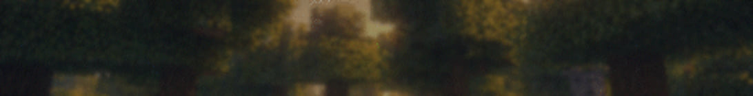 Quokka SMP Minecraft Server